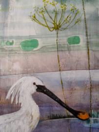 Vogels: Lepelaars