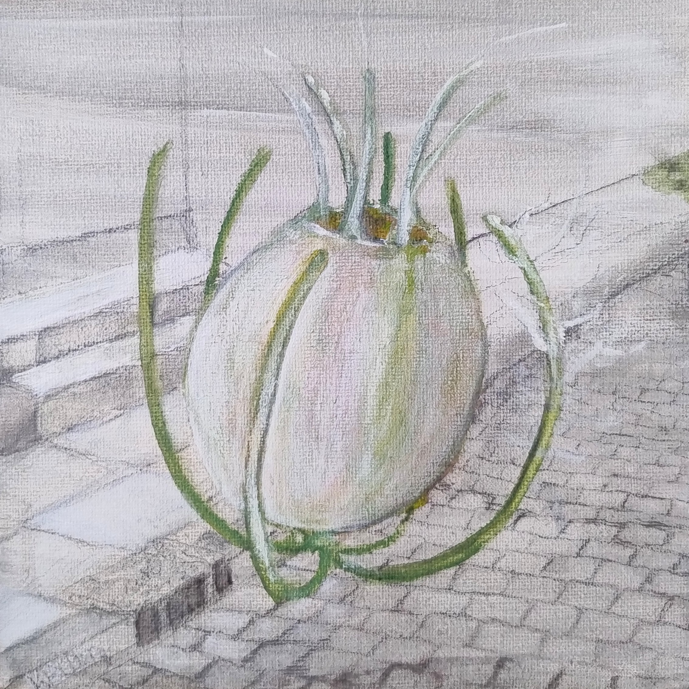 De reis van Nigela Damascena