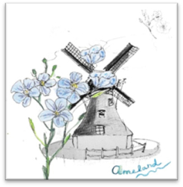 Natuurmuseum Ameland: Kaarten die passen bij Ameland. De Bonte Luw, de vuurtoren, duindoorn en de werkende molens waar ambachtelijke Amelander producten worden gemaakt.