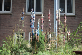 Reeks: Ode aan Lisdodde een interactief project