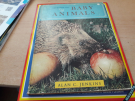 Boek over Baby animals