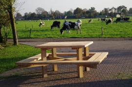 Picknicktafel ''De Edervener''