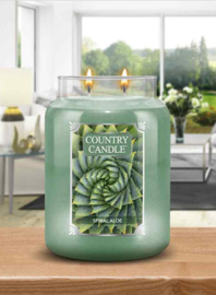 Country Candle Spiral Aloe Large Jar