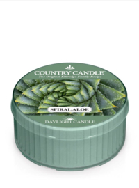 Country Candle Spiral Aloe Daylight