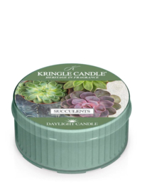 Kringle Candle Succulents Daylight
