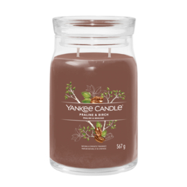 Yankee Candle Praline & Birch Signature Large Jar