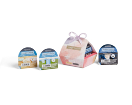 Yankee Candle Art In the Park 3 Wax Melts Giftset
