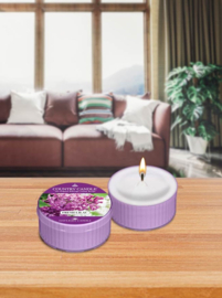 Country Candle Fresh Lilac Daylight