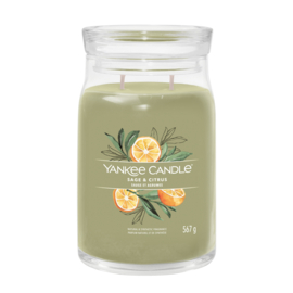 Yankee Candle Sage & Citrus Signature Large Jar