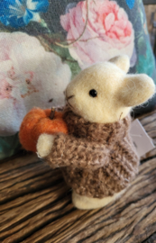 Muis met pompoen