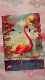 Flamingo