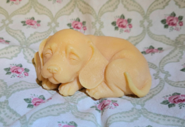 Puppy