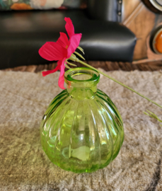 Bol glas groen met rand