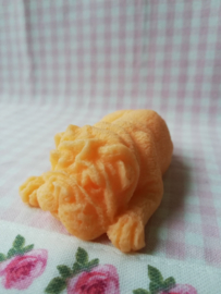 Sharpei