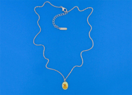 Toy Duck ketting
