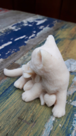 Poes met hartje
