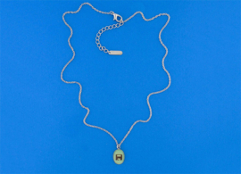 Floppy Disk ketting
