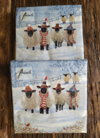 Schapen in de winter