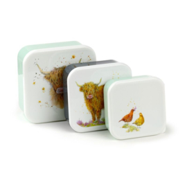 Set 3 lunchboxes Highland Cow