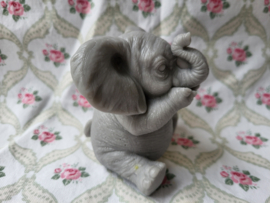 Zwijgen olifant