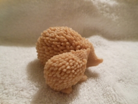 Egeltjes