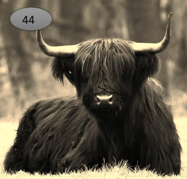 Onderzetters 44