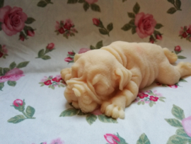Bulldog