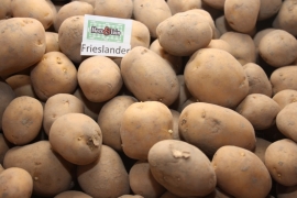 Pootaardappel Frieslander 1 kilo