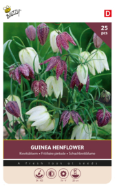 Kievits bloemen mix
