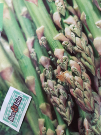 Groene asperges