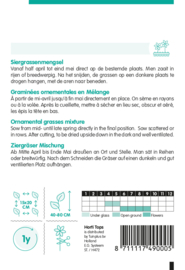 Siergrassen droogbloem 4900