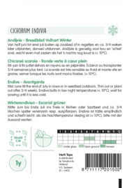 Andijvie Breedblad Volhart Winter 2015