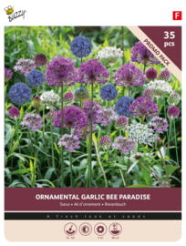 Allium bollen mix 35 stuks
