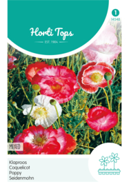 Klaproos, Papaver gemend 4548