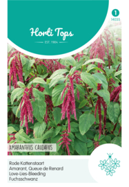 Kattestaart, Amaranthus 4035