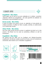 Kogeldistel blue globe 5345
