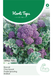 Broccoli summer purple 2237