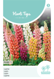 Lupine mix rood oranje 5422