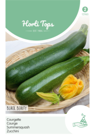 Courgette groen Black Beauty 2960