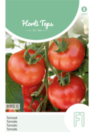 Tomaat, Ronde tomaat Pyros F1 2820