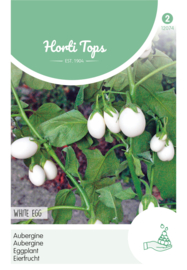 Aubergine white egg 2074