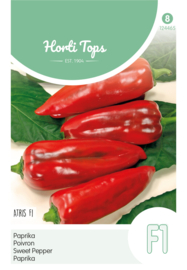 Paprika punt rood F1 24465