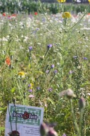 Wilde bloemenmengsel 100 gram