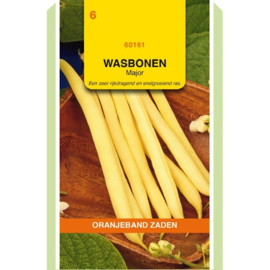 Boterboon, gele spercieboon, stamboon Wasboon Major 50gam 60161