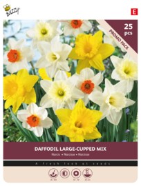 Narcis bloembollen mix 25 stuks
