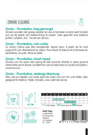 Zinnia, Thumbelina dwerg 4875
