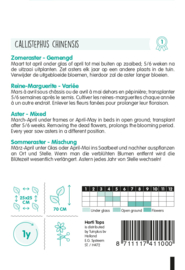 Aster, zomeraster mix 4110