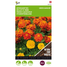 Tagetes patula nana Afrikaan 50gram 881545