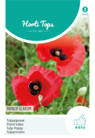 Klaproos, Papaver rood  4545