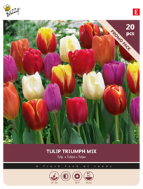 Tulpen mix triumph 20 stuks